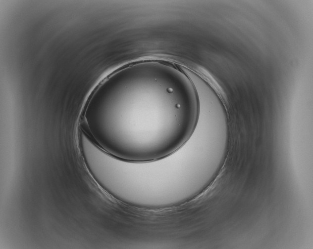 X0000113201292200909101104