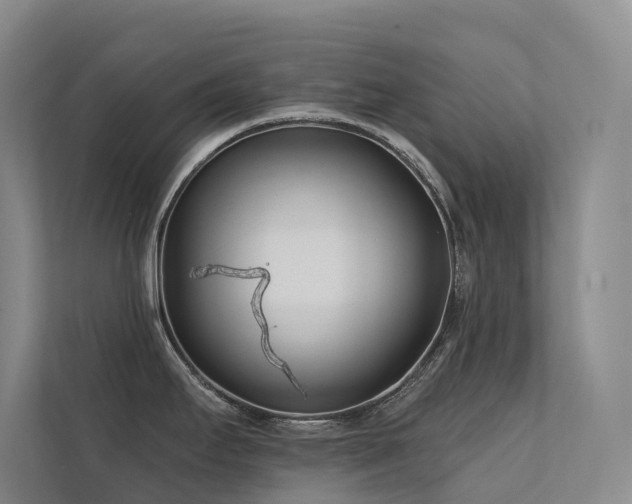 X0000113201295200909101104