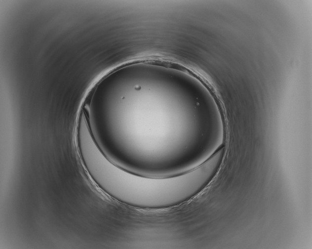 X0000113201296200909101104