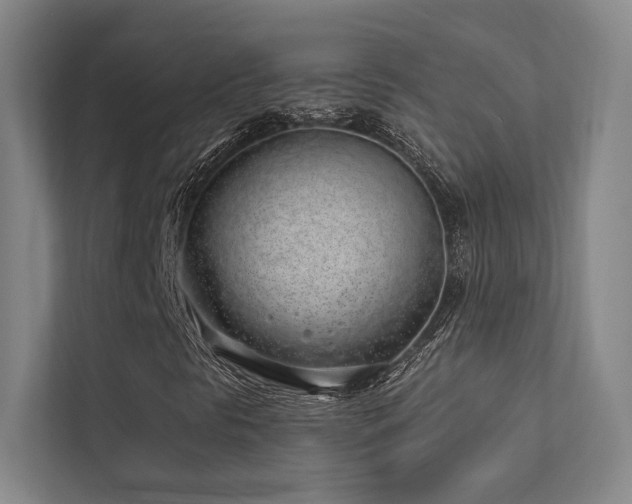 X0000113201297200909101104