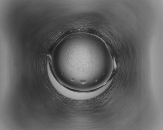 X0000113201298200909101104