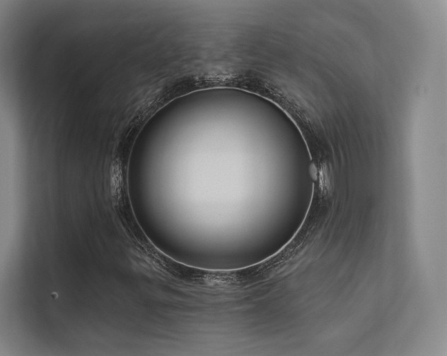 X0000113201299200909101104