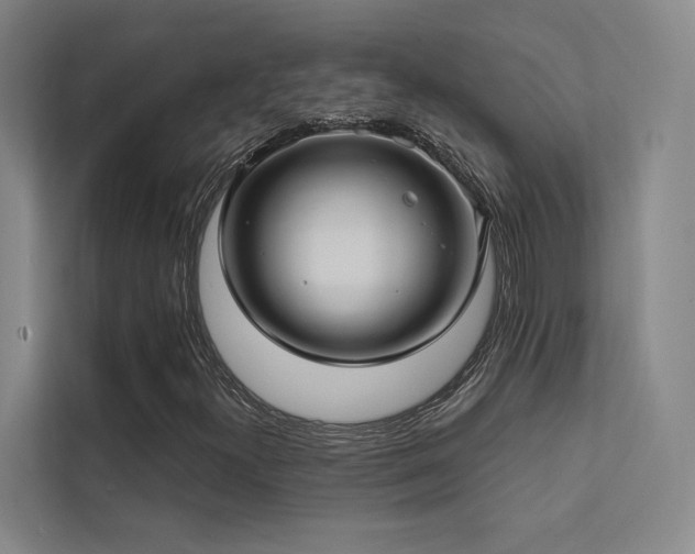 X0000113201300200909101104