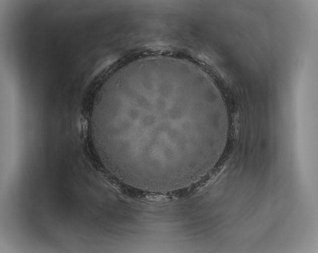 X0000113201302200909101104