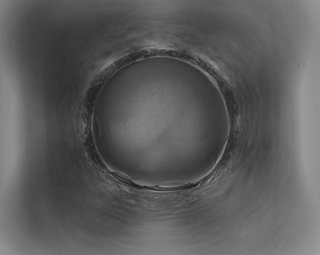 X0000113201303200909101104