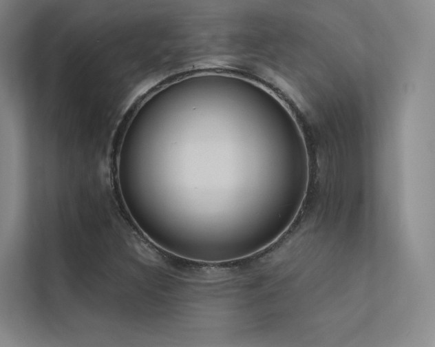 X0000113201308200909101104