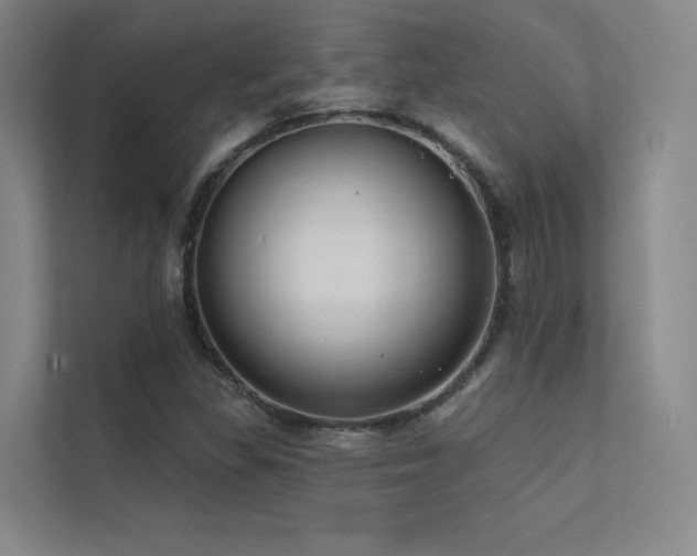 X0000113201309200909101104