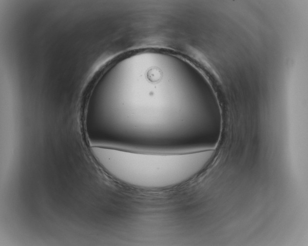 X0000113201312200909101104