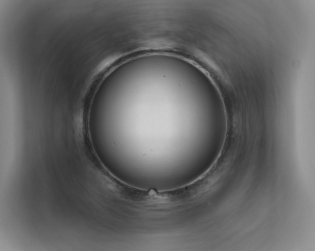 X0000113201315200909101104