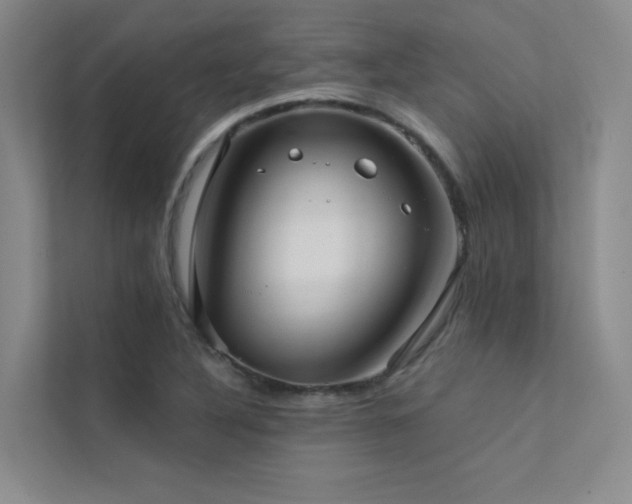 X0000113201316200909101104