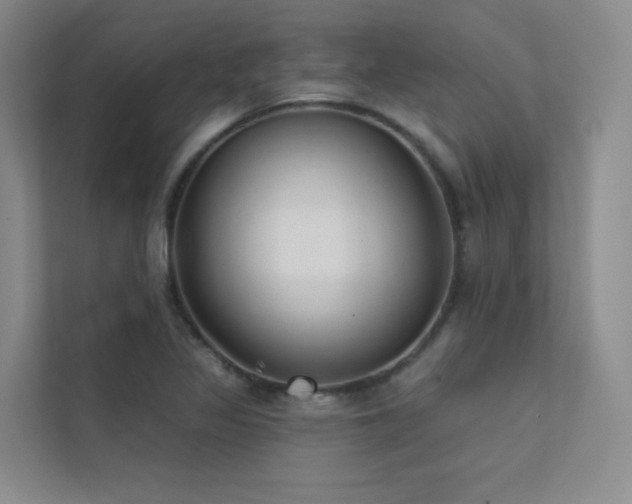 X0000113201317200909101104