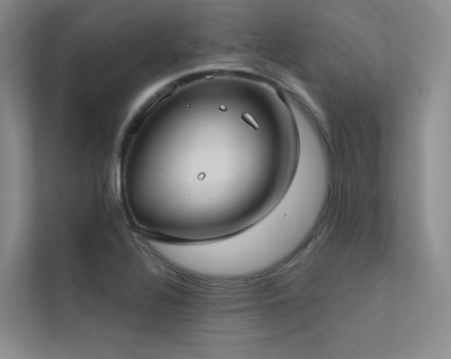 X0000113201320200909101104