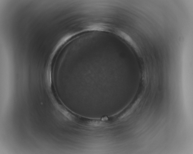 X0000113201323200909101104