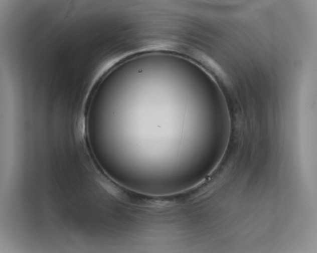 X0000113201324200909101104