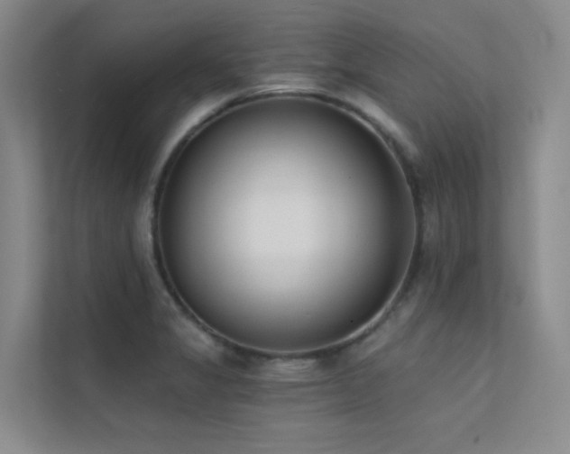 X0000113201325200909101104