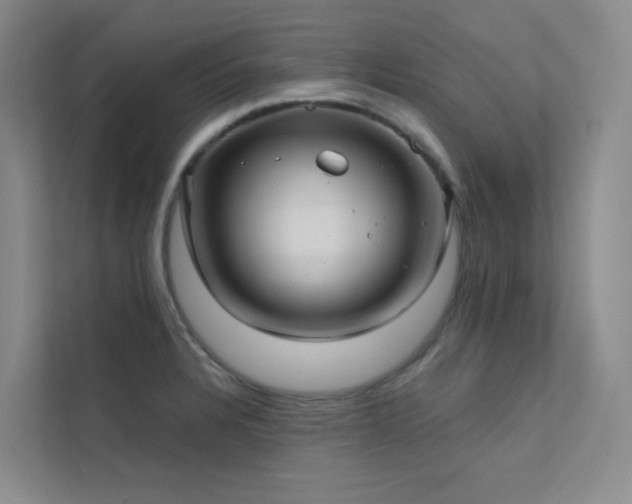 X0000113201328200909101104