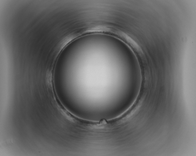 X0000113201329200909101104