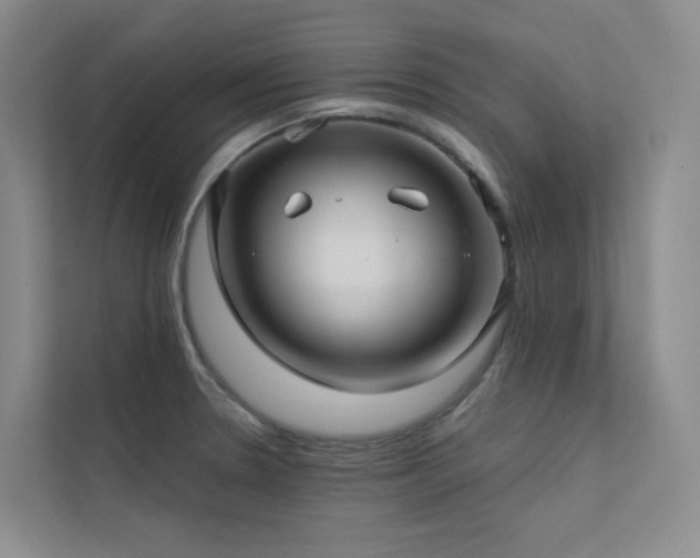 X0000113201330200909101104