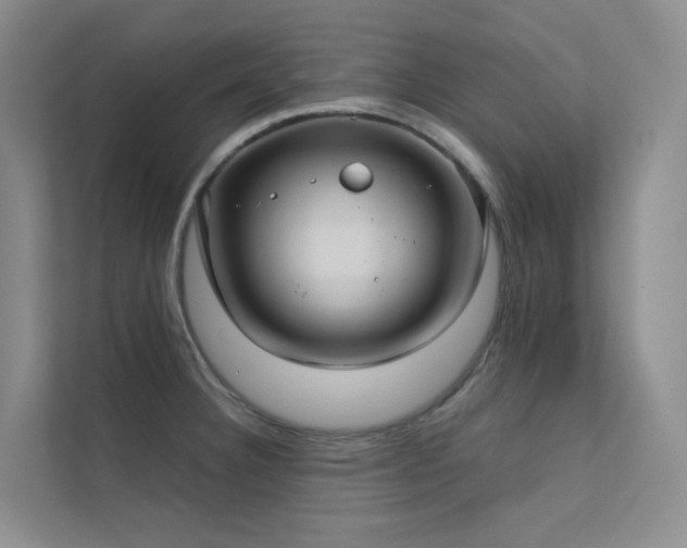 X0000113201332200909101104