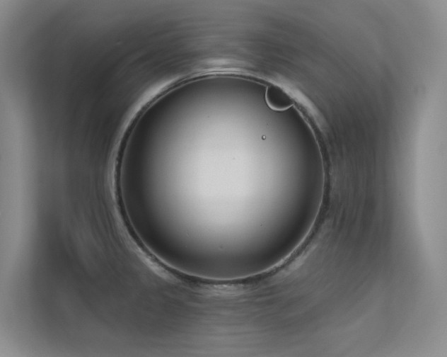 X0000113201333200909101104