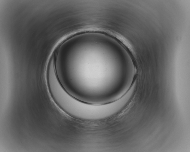 X0000113201334200909101104