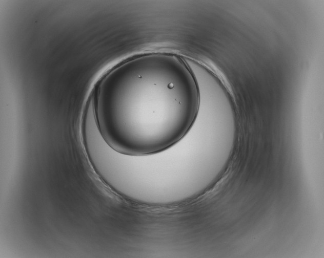 X0000113201336200909101104