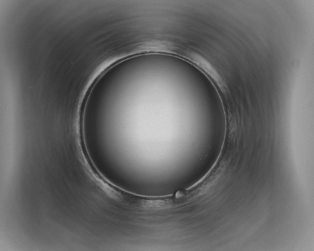 X0000113201339200909101104