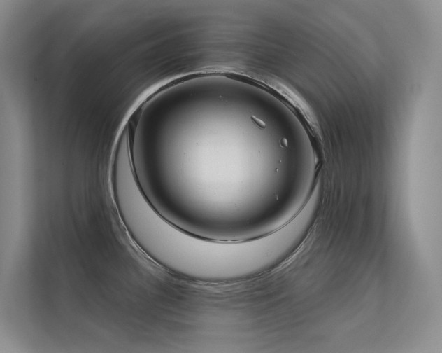 X0000113201340200909101104