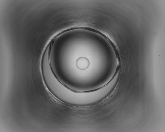 X0000113201342200909101104