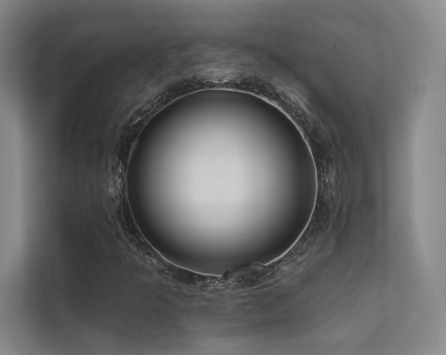 X0000113201349200909101104