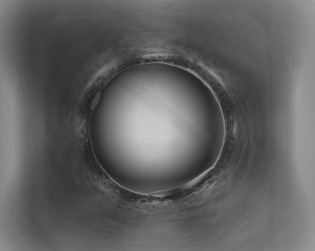 X0000113201351200909101104