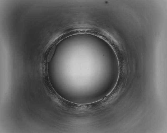 X0000113201352200909101103