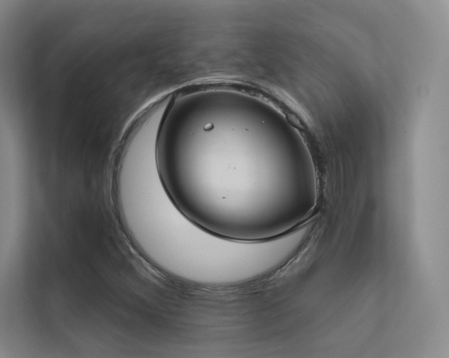 X0000113201356200909101103