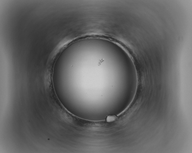 X0000113201359200909101103