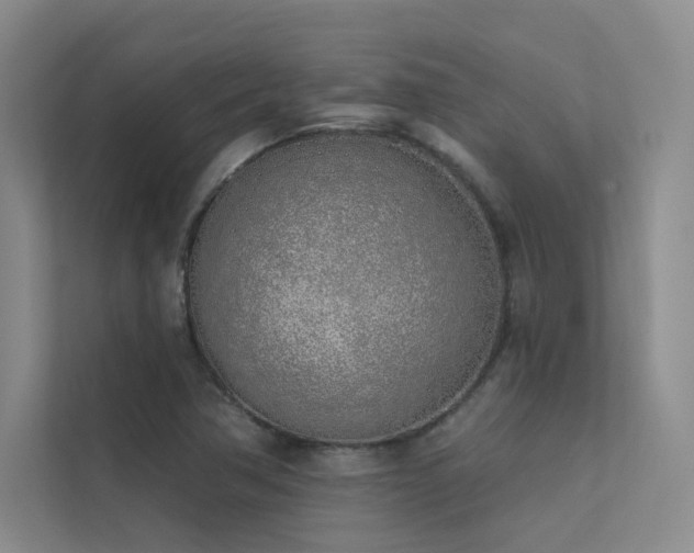 X0000113201362200909101103