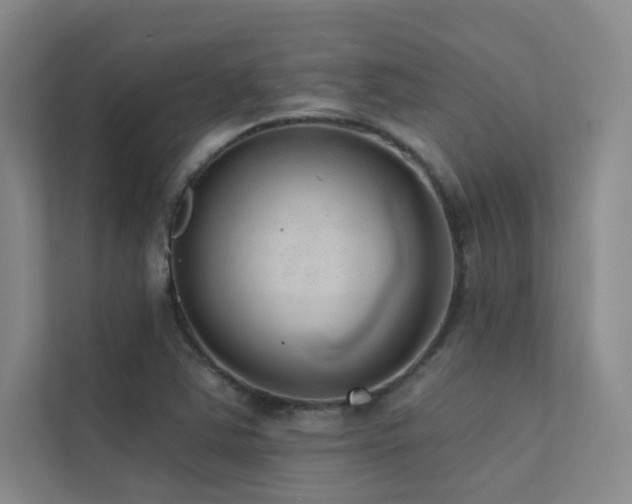 X0000113201363200909101103