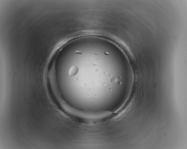 X0000113201365200909101103