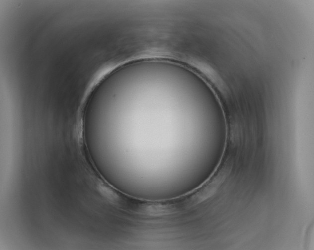 X0000113201366200909101103