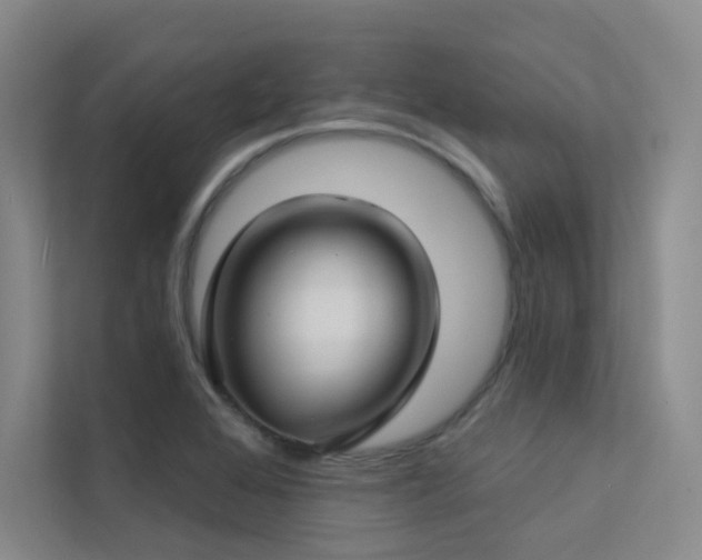 X0000113201368200909101103