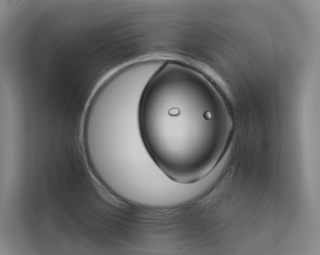 X0000113201372200909101103