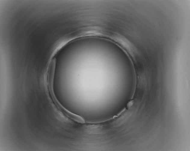 X0000113201373200909101103