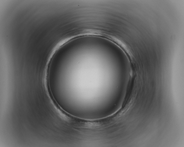 X0000113201379200909101103