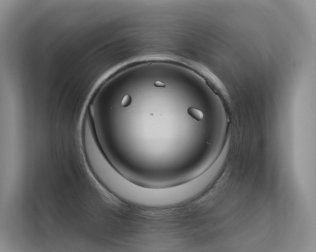 X0000113201380200909101103