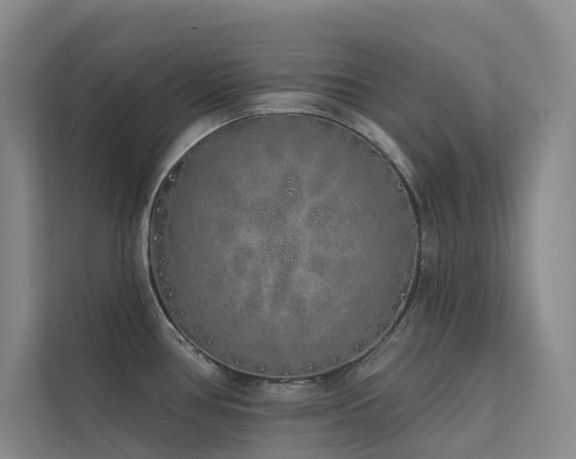 X0000113201386200909101103