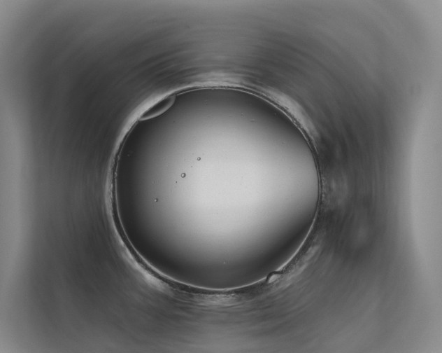 X0000113201387200909101103