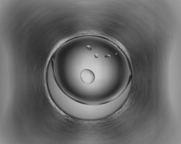 X0000113201389200909101103