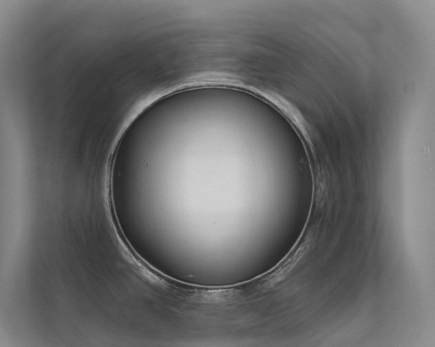 X0000113201390200909101103