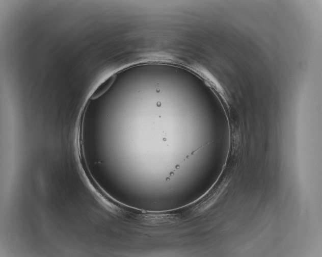 X0000113201391200909101103