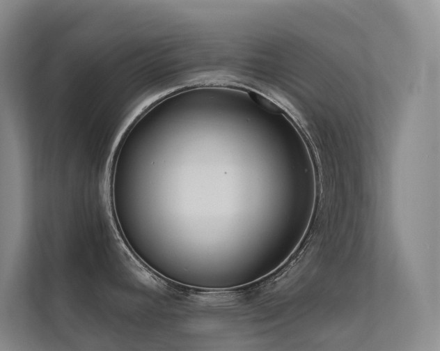 X0000113201392200909101103