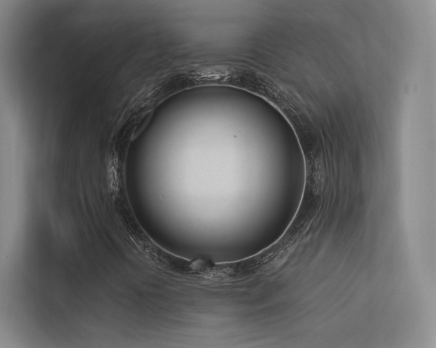 X0000113201394200909101102